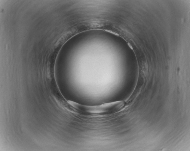 X0000073860512200608101254