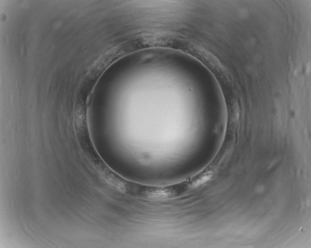 X0000073860513200608101254