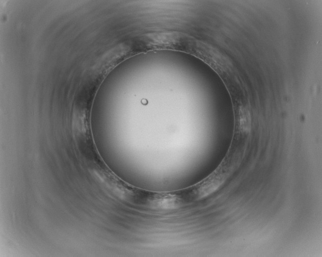 X0000073860514200608101254