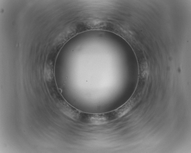 X0000073860515200608101254