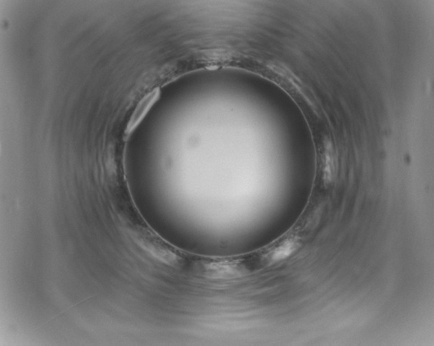 X0000073860516200608101254