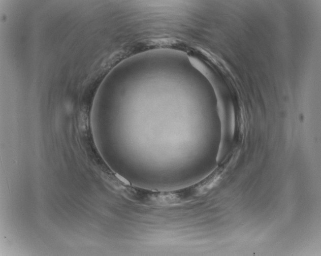 X0000073860517200608101254