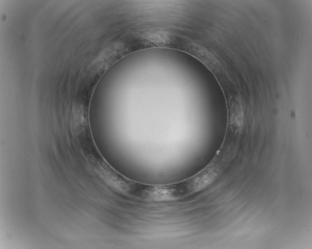 X0000073860518200608101254