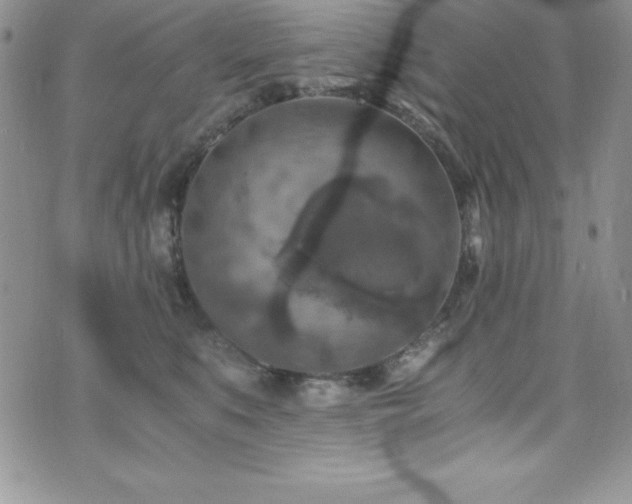 X0000073860519200608101254