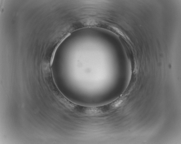 X0000073860521200608101253