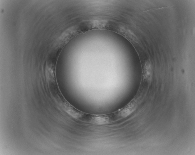 X0000073860522200608101253