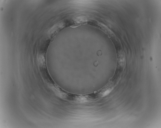 X0000073860523200608101253