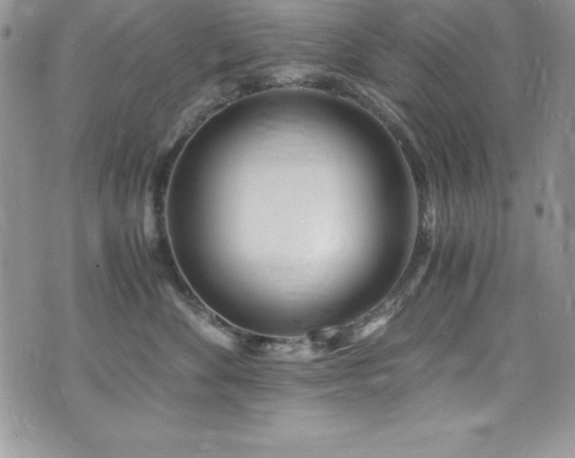 X0000073860524200608101253