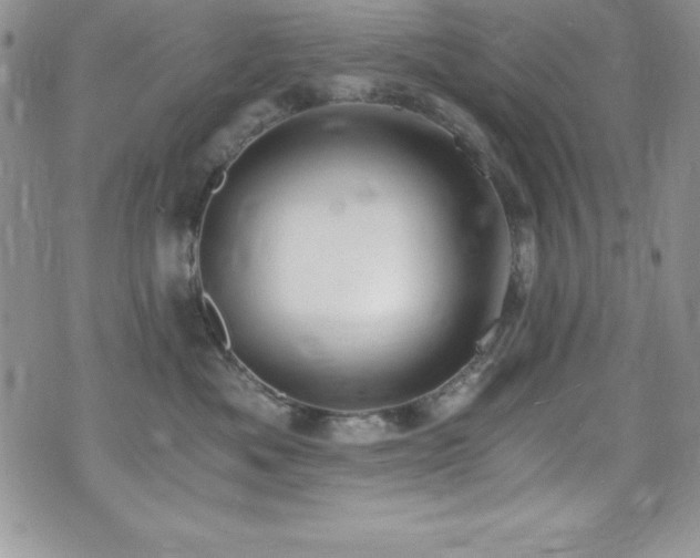 X0000073860525200608101253