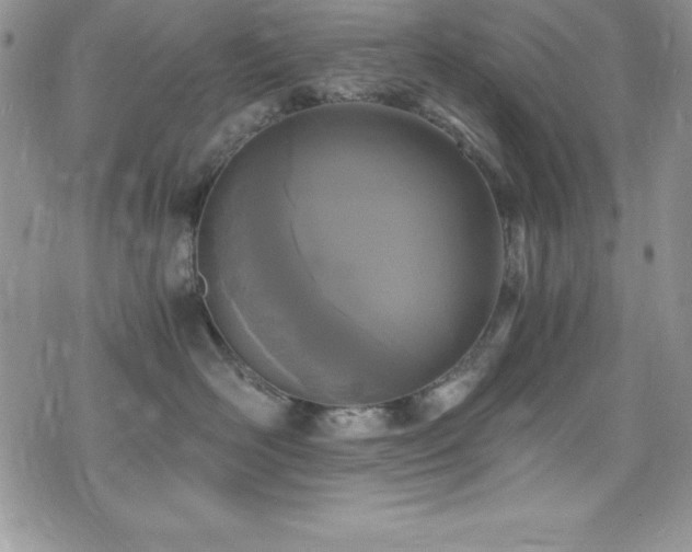 X0000073860526200608101253