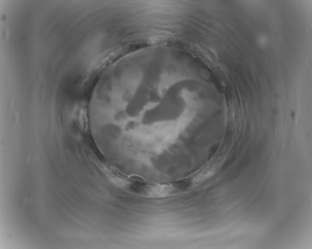 X0000073860527200608101253