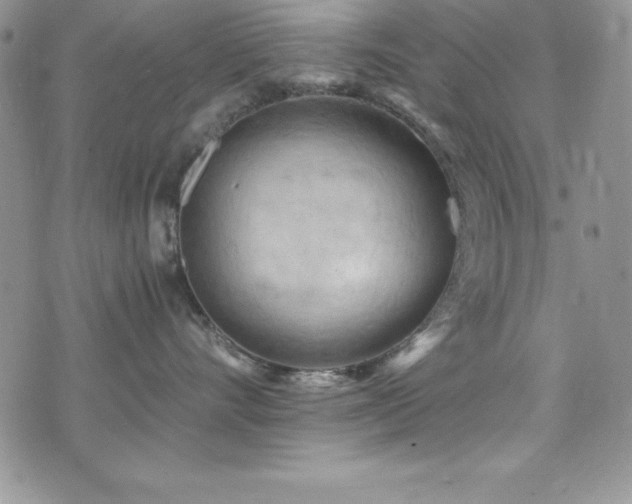 X0000073860528200608101253