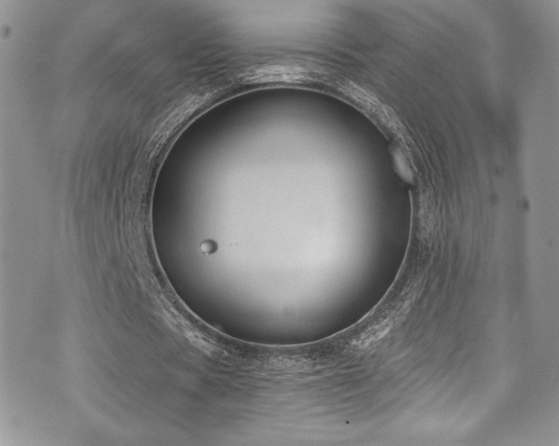 X0000073860529200608101253