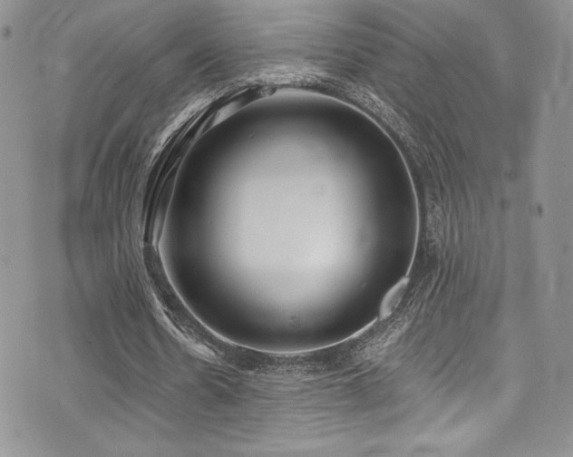 X0000073860530200608101253