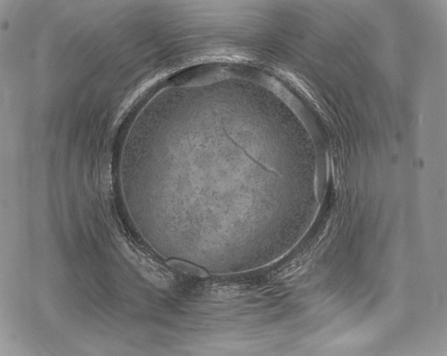 X0000073860531200608101253