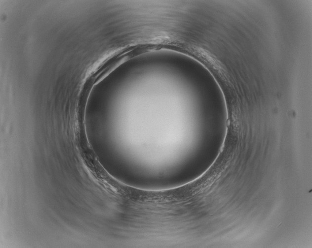 X0000073860532200608101253