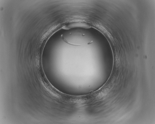 X0000073860533200608101253