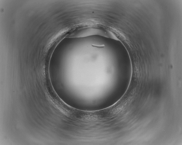 X0000073860535200608101253