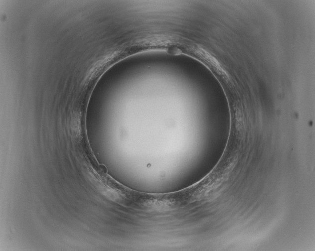 X0000073860537200608101253