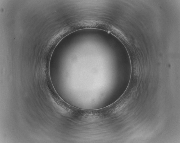 X0000073860538200608101253