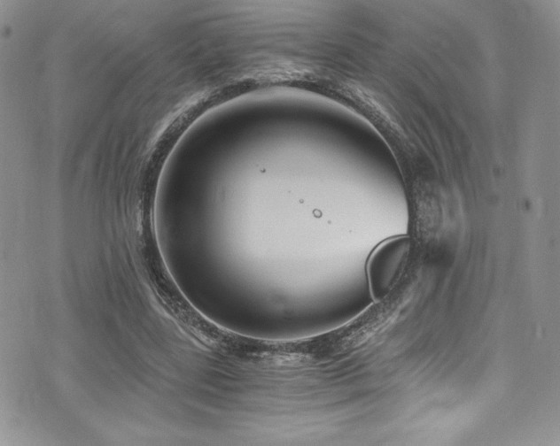 X0000073860539200608101253