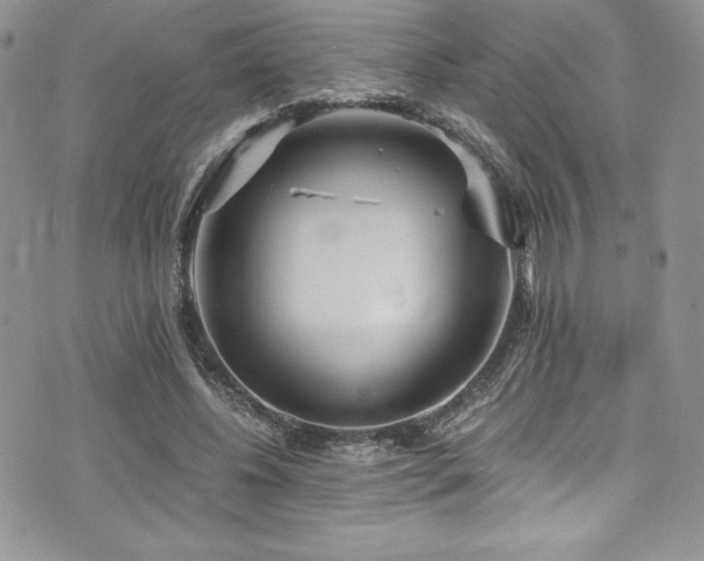 X0000073860540200608101253