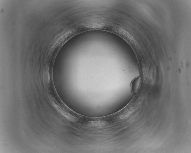 X0000073860541200608101253