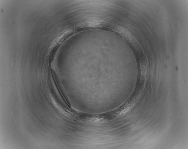 X0000073860542200608101253