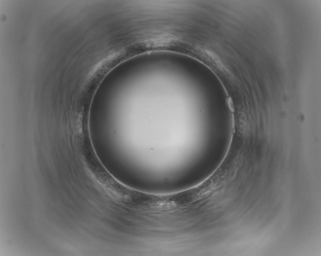 X0000073860543200608101253