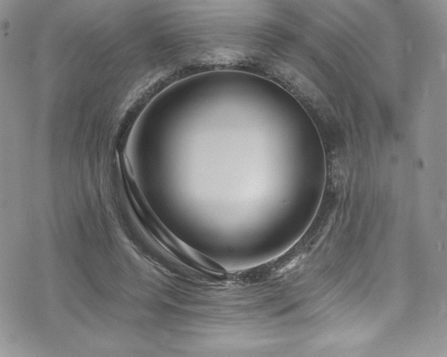 X0000073860544200608101253