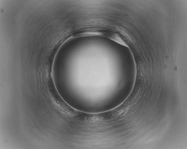 X0000073860546200608101253