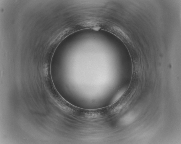 X0000073860549200608101253