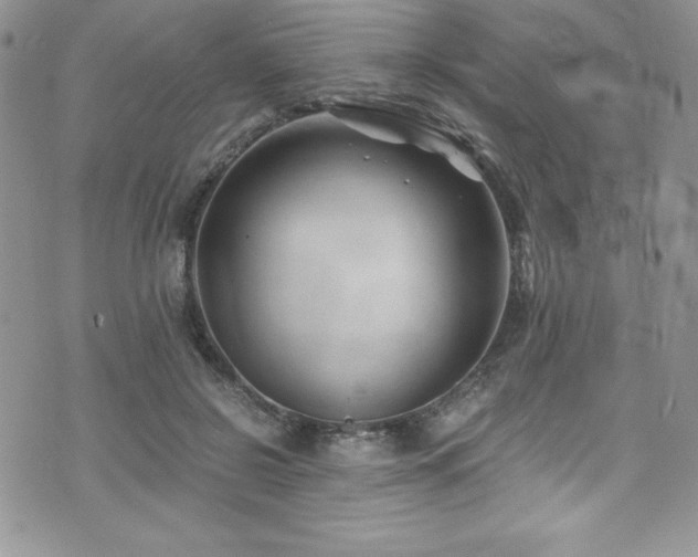 X0000073860550200608101253