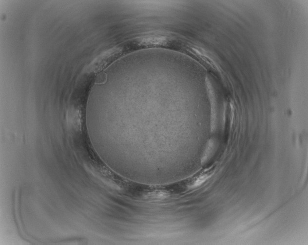 X0000073860551200608101253