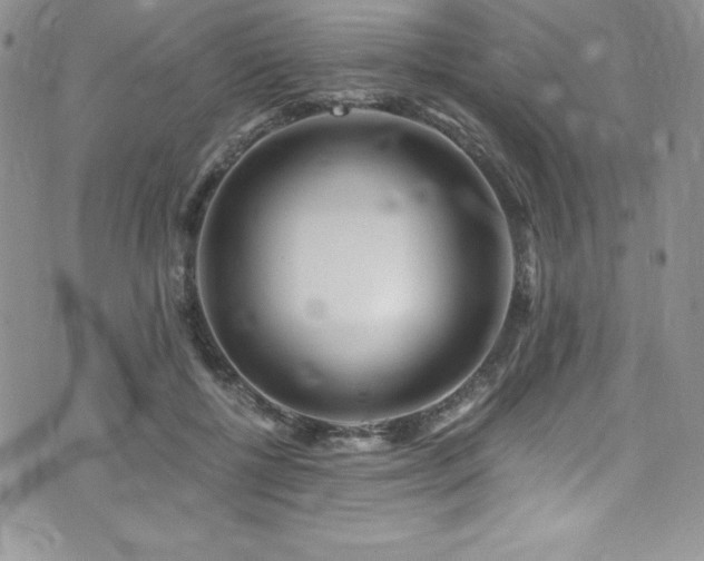 X0000073860552200608101253