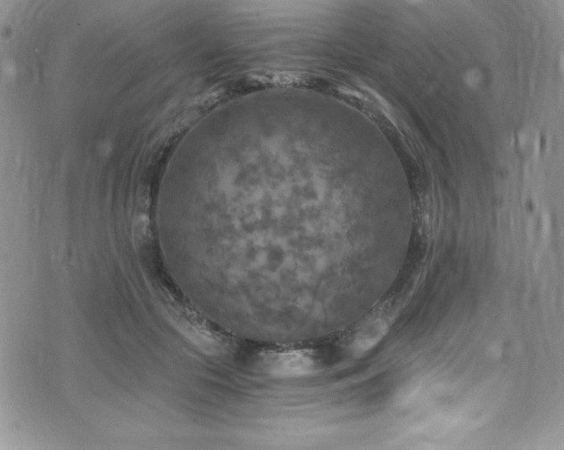 X0000073860553200608101253