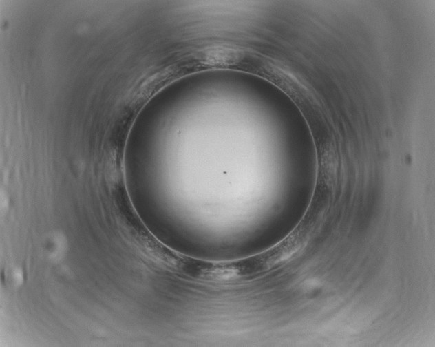 X0000073860554200608101253