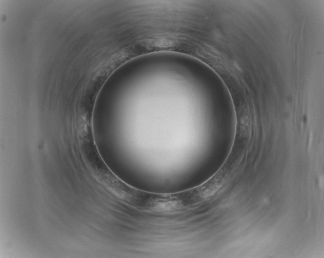 X0000073860555200608101253