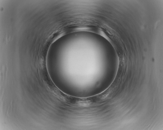 X0000073860556200608101253