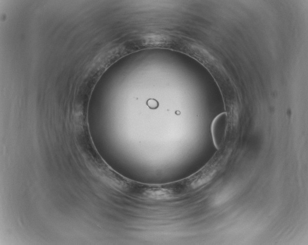 X0000073860557200608101253