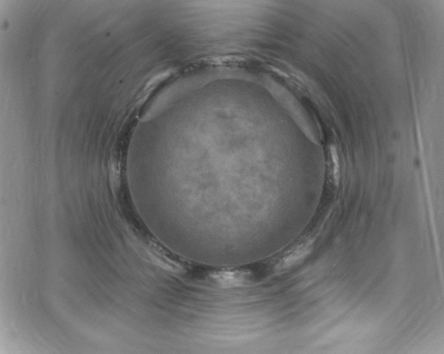 X0000073860558200608101253