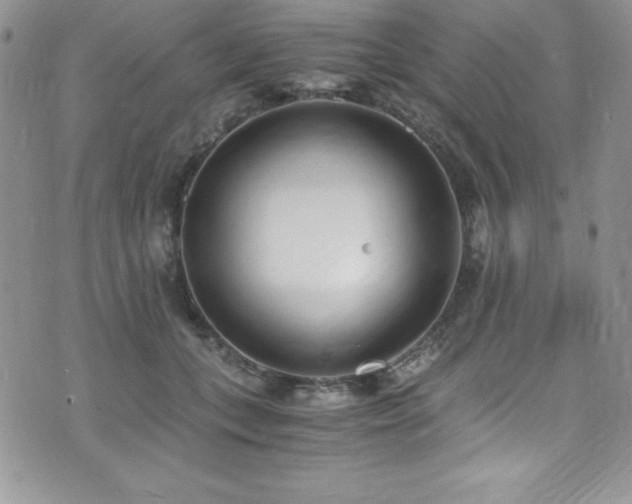 X0000073860559200608101253