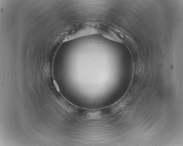 X0000073860560200608101253