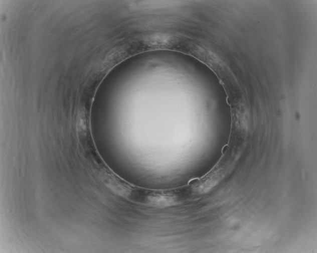 X0000073860561200608101253