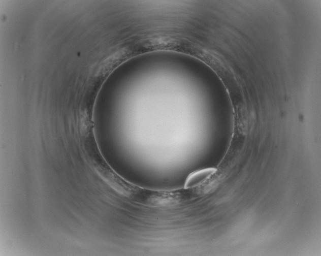 X0000073860563200608101253