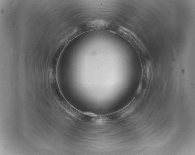 X0000073860564200608101253