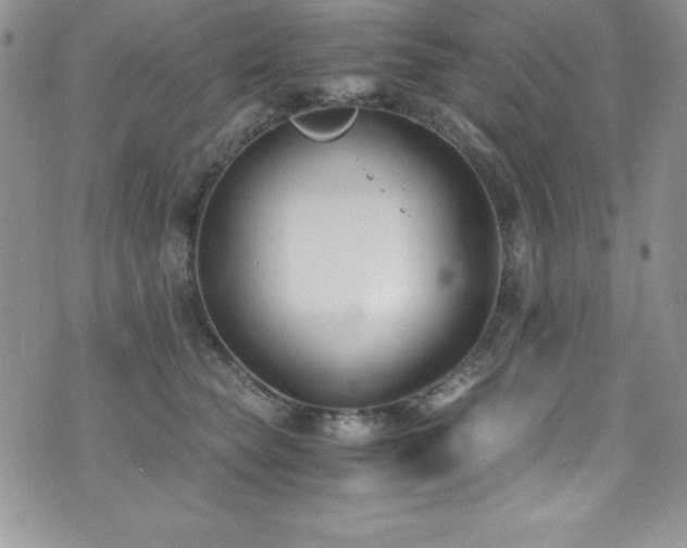 X0000073860565200608101253