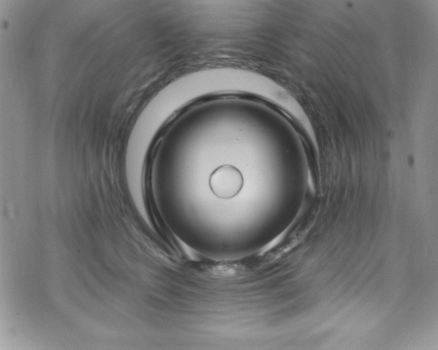 X0000073860566200608101253