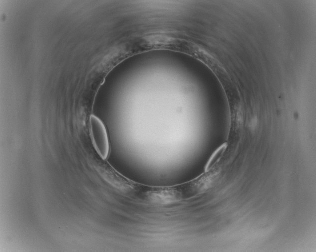 X0000073860567200608101253