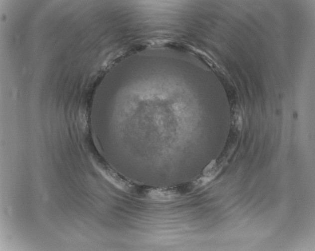 X0000073860568200608101253